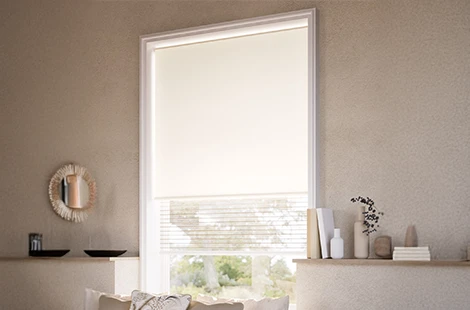 Flexible Light & Privacy Control