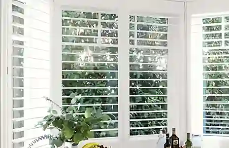 Safe for Kids & Pets