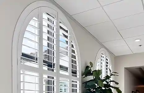 Specialty Shapes & Customisation