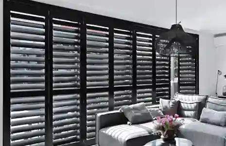 Customisable Options