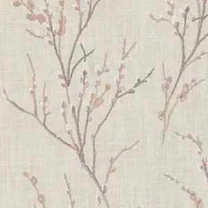 Blush Pink | Pussy Willow
