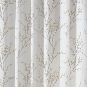 Dove Grey | Pussy Willow