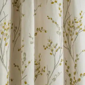 Ochre | Pussy Willow