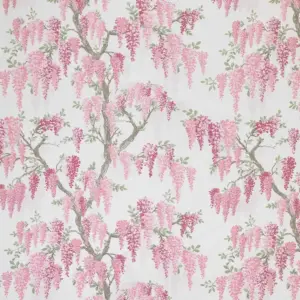 Coral Pink | Wisteria