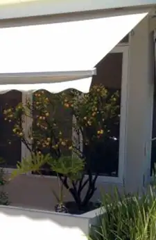 Aurora Noosa Folding Arm Awning Canberra | Aurora Window Furnishings