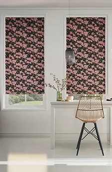 Roller blinds Canberra